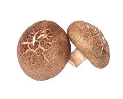 Mushroom - Shitake | Punnet | YG-FFF-180 | FFF-000804