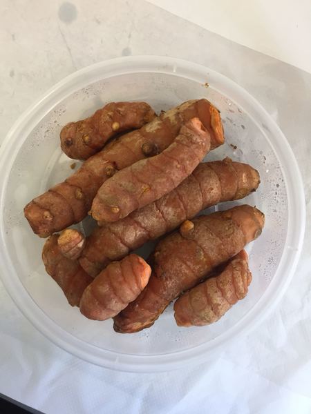 Turmeric | YG-FFF-486 | FFF-001127