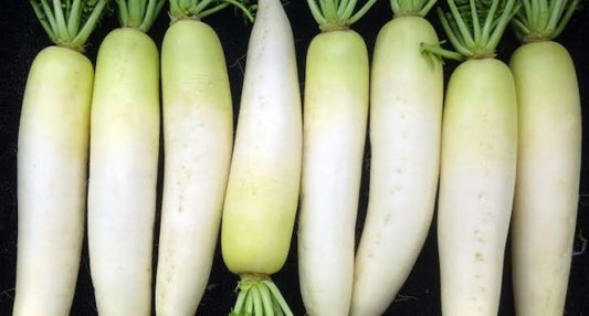 Daikon