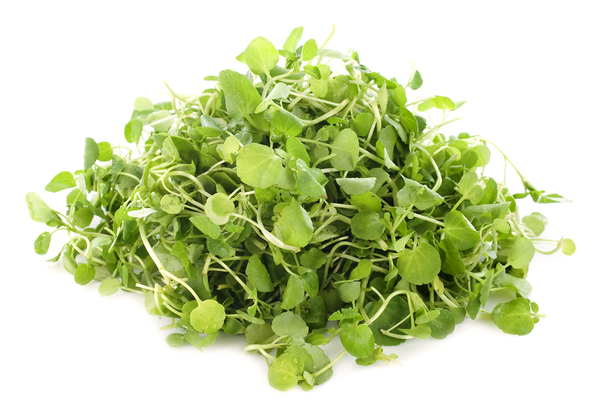 Watercress | Bunch | YG-010804-PFP-004589