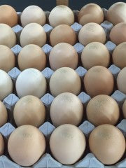 Tray Of 30 Eggs | 800g | Willow Zen | YG-011135-EGP-006761
