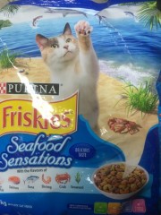 Friskies Seafood Sensations Dry Cat Food | 2.5kg | Nestle Purina Pet Care | YG-008572-PD-052055