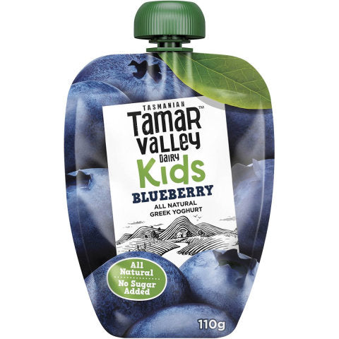Kids Blueberry Greek Yoghurt Squeezie | 110g | Tamar Valley | YG-004735-PD-017083