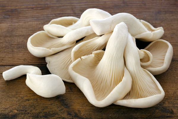 Mushroom Oyster | Punnet | YG-012121-PFP-004592