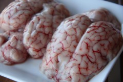 Sheep Brains (6 Pieces) Frozen | Each | YG-004220-NCQ-006919