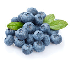 Jumbo Blueberries | Punnet | YG-012410-PFP-004644