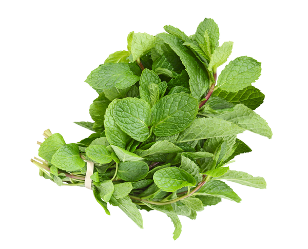 Mint | Bunch | YG-012252-PFP-004744