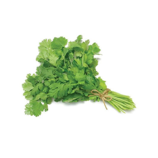 Coriander | Bunch | YG-012361-RO-022530