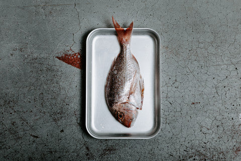 Baby Snapper (whole) | 450g | YG-011198-FS-010470