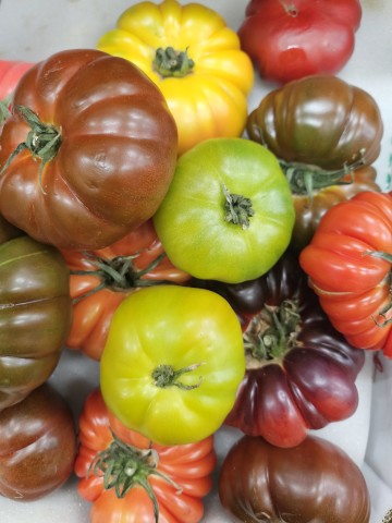 Heirloom Tomato | 300g | YG-000100-FFF-000930