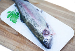 Rainbow Trout Whole | 475g | Goulburn River | YG-012327-FS-010368
