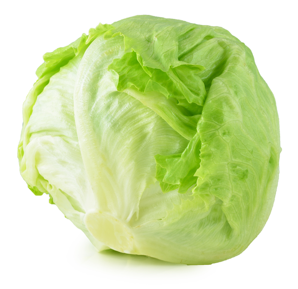 Lettuce Iceberg | Each | YG-PIN-145 | PFP-004538
