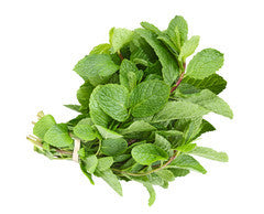 Mint | Bunch | YG-012208-GFV-001702