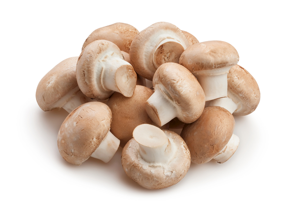 Mushroom - Swiss Brown | 250g | YG-012240-PFP-004533