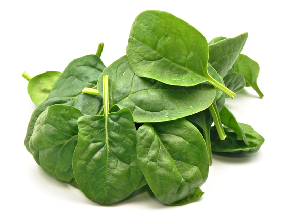 Baby Spinach | 100g | YG-PIN-120 | PFP-005527