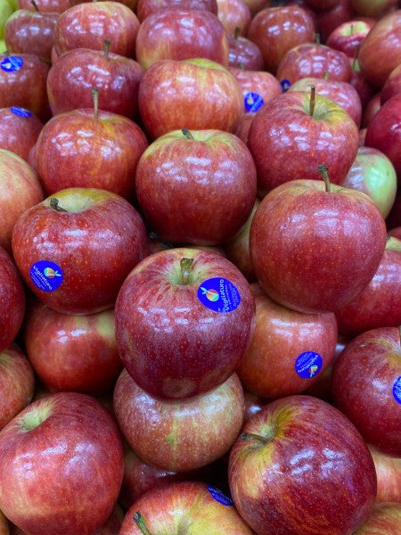 New season royal gala apple