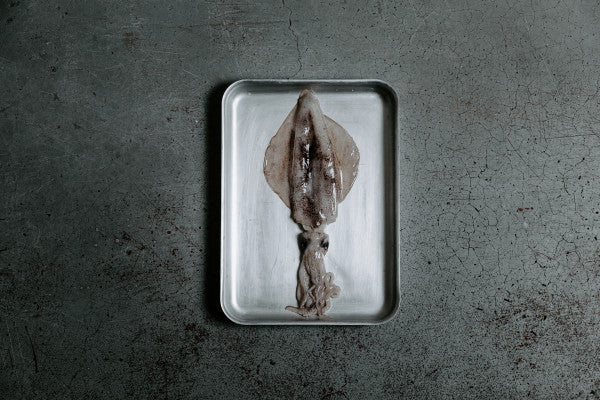 Calamari (Cleaned)