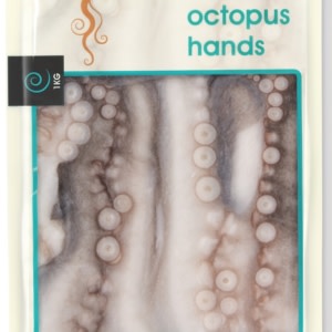 Octopus Large From Western Australia