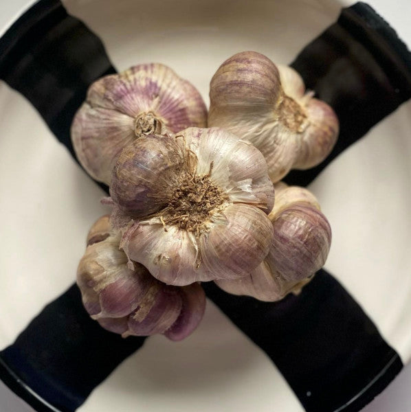 Organic Garlic