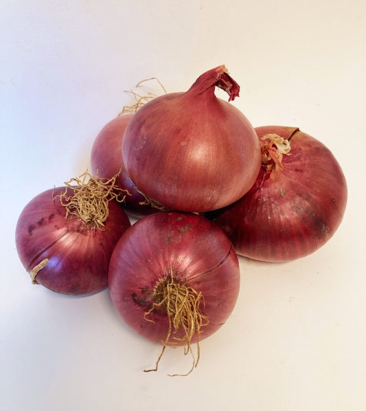 Onions Red Organic (Spanish)