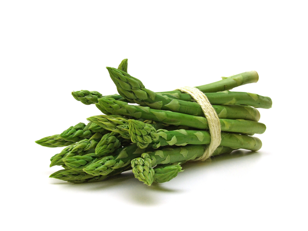 Asparagus medium