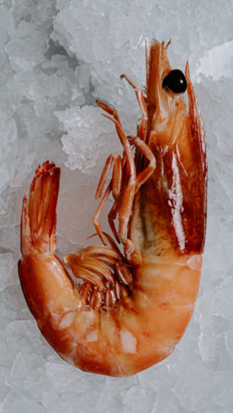 Cooked Prawns Whole