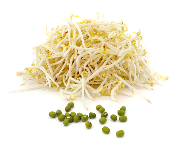 Bean Shoots