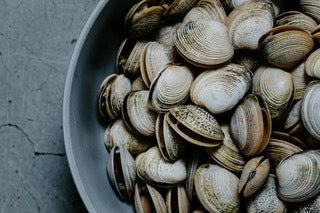 Vongole 500gm