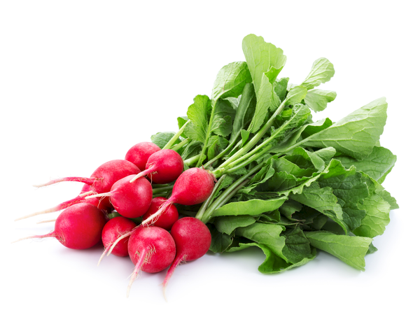 Radish Red