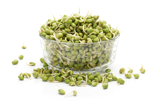 Sprouts Mung