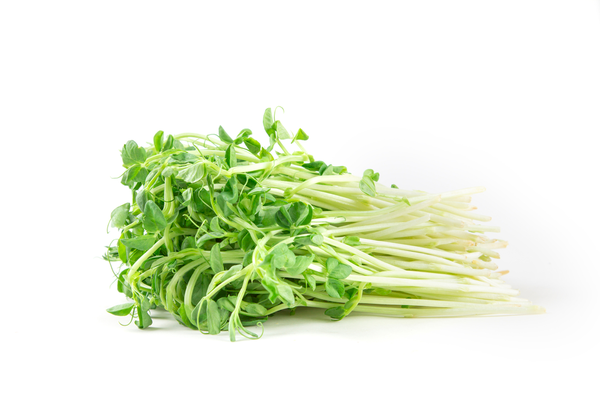 Sprouts Snow Pea