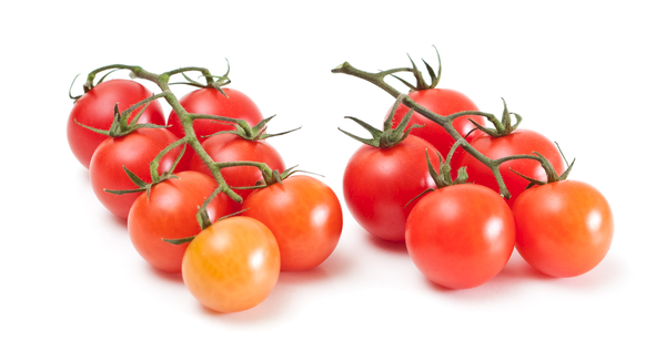 Tomatoes Cherry vine