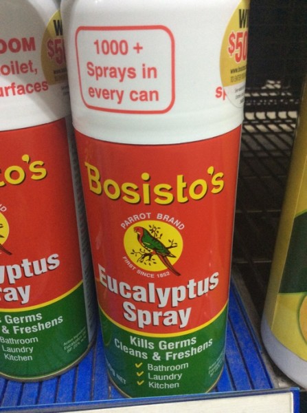 Eucalyptus Spray