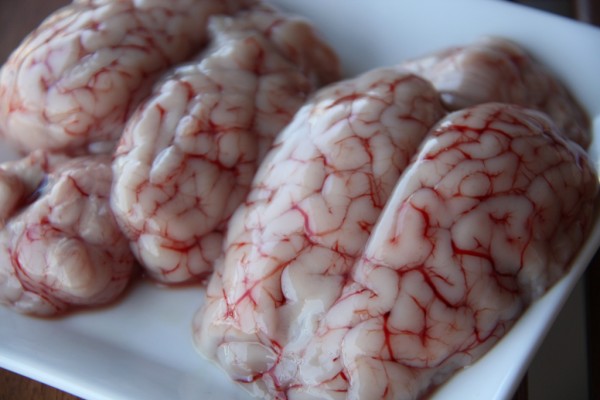Sheep brains (6 pieces) Frozen