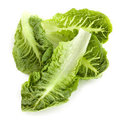 Loose Baby Cos Lettuce