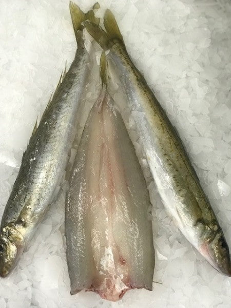 King George Whiting Fillets