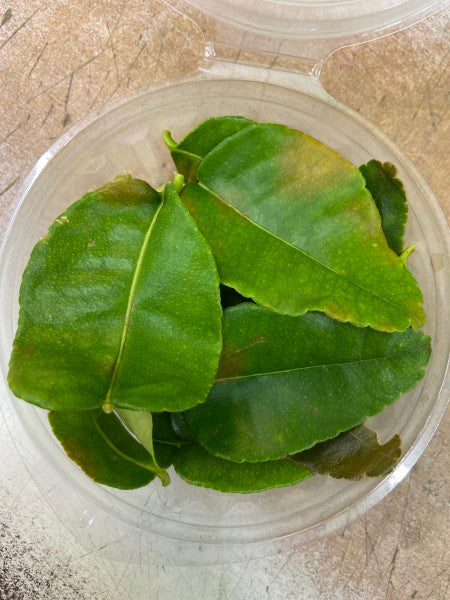 Lime leaves