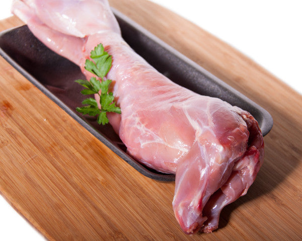 Rabbit