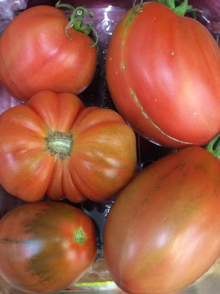 Baby Heirloom tomatoes (pack)