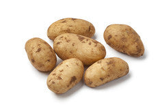 Dutch cream potatoe