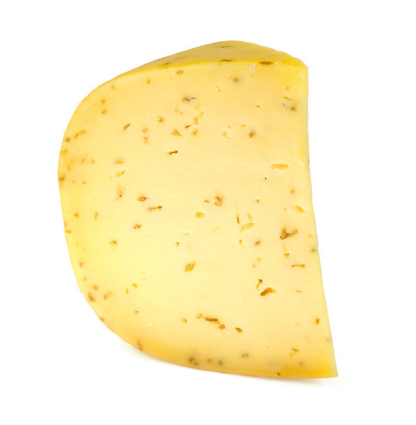 Dutch Leyden