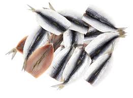 Port Lincoln Sardine Fillets (500g pack)