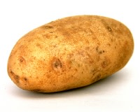 Brushed Potato
