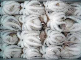 Baby Octopus (cleaned) Frozen