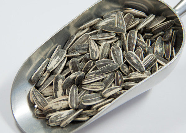 Sunflower Seeds