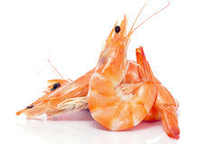 Cooked Prawns king (QLD) (Frozen)