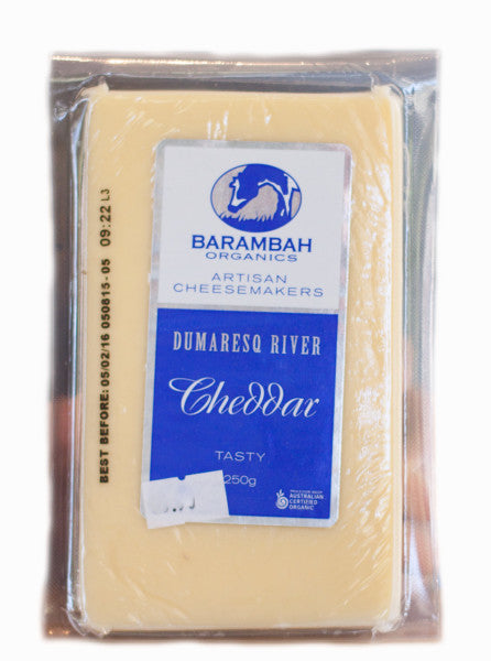 Organic Tasty Cheddar Block