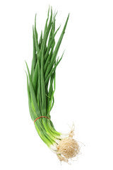 Spring Onions