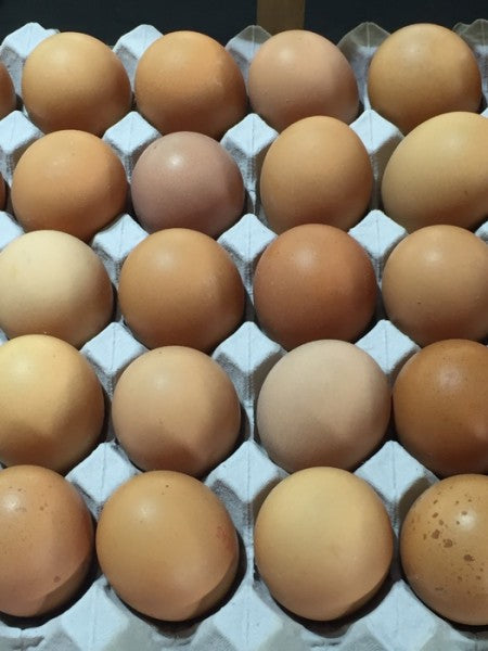 Tray Of 30 Free Range Eggs (Min 61g)
