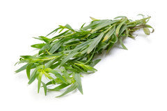 Tarragon